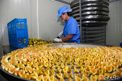 集中“發糖”!從鮮果到制品,記者帶你實地解密無花果干制作過程~