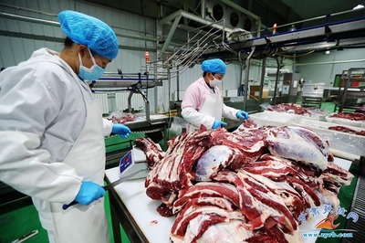 祁連牧歌悠揚 張掖一企獲評“國家級綠色工廠”