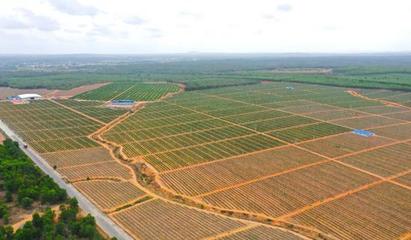 儋州榮獲全國“最具農業投資價值縣(區)”稱號