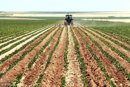 三年 還有三年,農業 農村將會發生10個變化