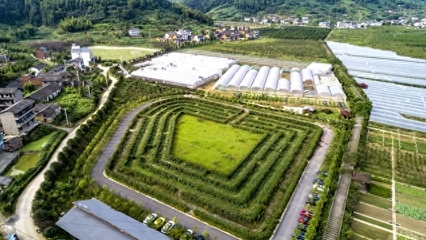 認(rèn)養(yǎng)農(nóng)業(yè)app模式定制開(kāi)發(fā) 認(rèn)養(yǎng)農(nóng)業(yè)發(fā)展方案