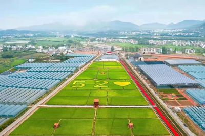 喜報(bào)!于都這項(xiàng)成績(jī)蟬聯(lián)第一!