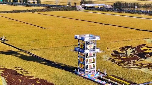 數(shù)說(shuō)新中國(guó)75年 農(nóng)業(yè)發(fā)展闊步前行 現(xiàn)代農(nóng)業(yè)譜寫(xiě)新篇