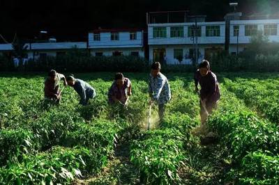 竹溪縣天寶鄉(xiāng),無限風(fēng)光在“大峽”