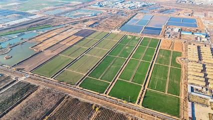 墾利經濟開發區、興隆街道:聚焦民生福祉 繪就幸福生活新圖景
