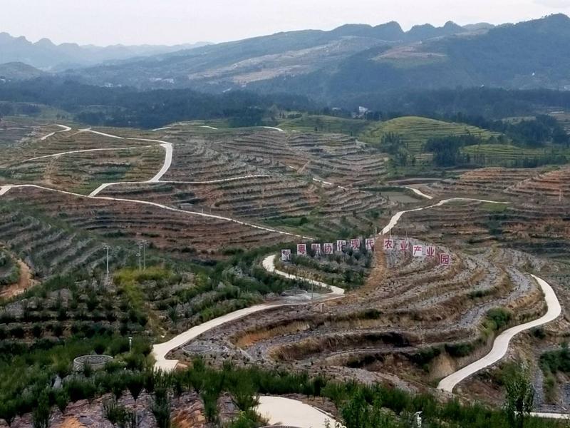 廣黔幫扶:“招商引資,以商帶商”,白云干部建現(xiàn)代農(nóng)業(yè)產(chǎn)業(yè)園帶領(lǐng)當(dāng)?shù)厝罕娭赂?></a></div>
<div   id=