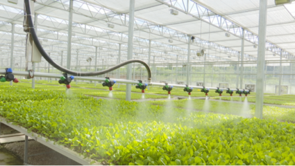 “智慧農(nóng)業(yè)”能致富?“數(shù)字鄉(xiāng)村”是啥樣?快來看貴陽高新區(qū)企業(yè)如何用科技賦能農(nóng)業(yè)!