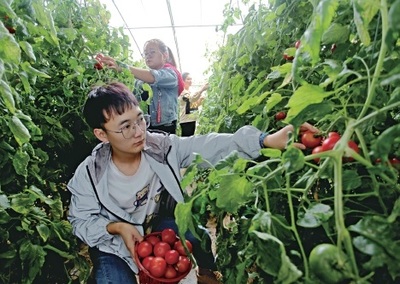 “農(nóng)業(yè)+旅游