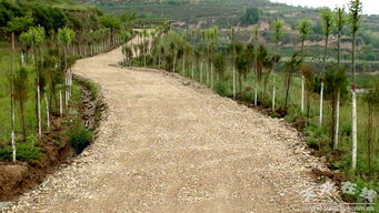 張家川縣農業綜合開發項目開發出了 金山銀山