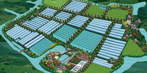 高端訪談 寧波海創(chuàng)科技園副總經(jīng)理單揚勛談農(nóng)業(yè)開發(fā)創(chuàng)新之路