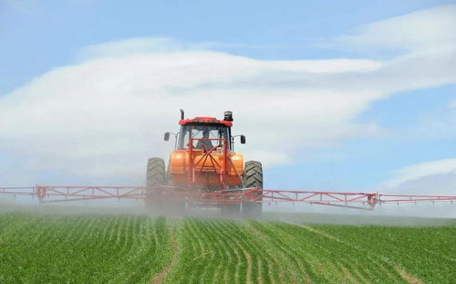 統(tǒng)籌推進農(nóng)村疫情防控與農(nóng)業(yè)開發(fā) 保障農(nóng)產(chǎn)品供給安全