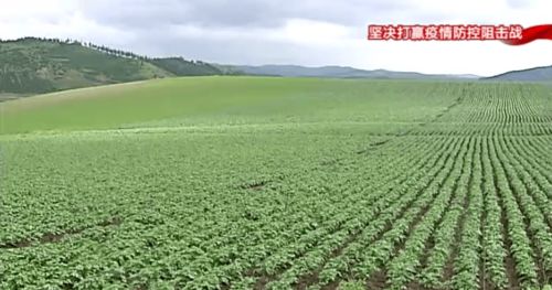 構筑特色農業新優勢，以產業發展促鄉村振興