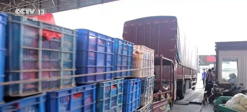 一季度農(nóng)業(yè)農(nóng)村經(jīng)濟(jì)實(shí)現(xiàn)開(kāi)門穩(wěn)開(kāi)門紅，發(fā)展勢(shì)頭持續(xù)向好